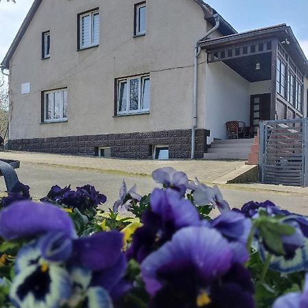Agroturystyka Nad Bobrem Pilchowice Esterno foto