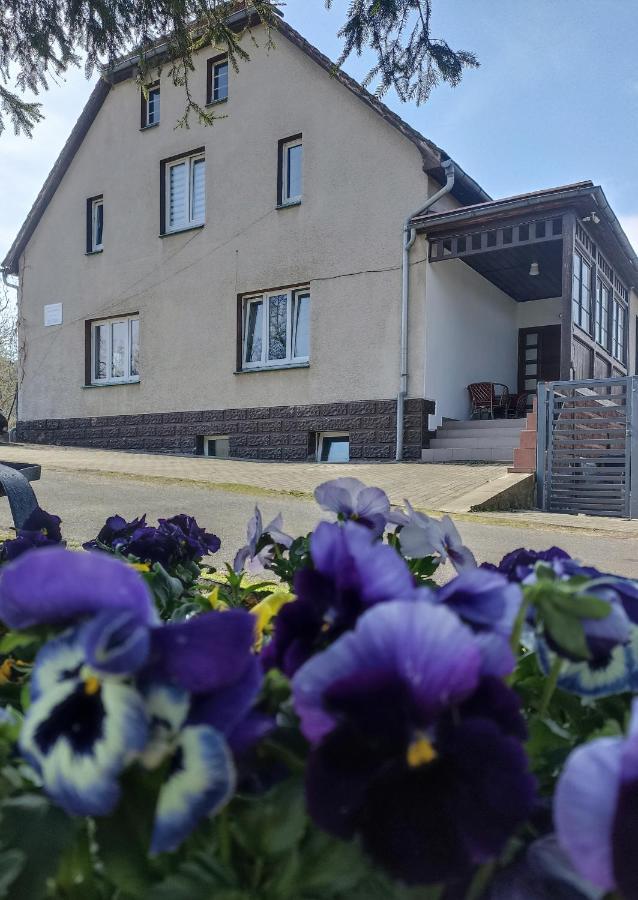 Agroturystyka Nad Bobrem Pilchowice Esterno foto