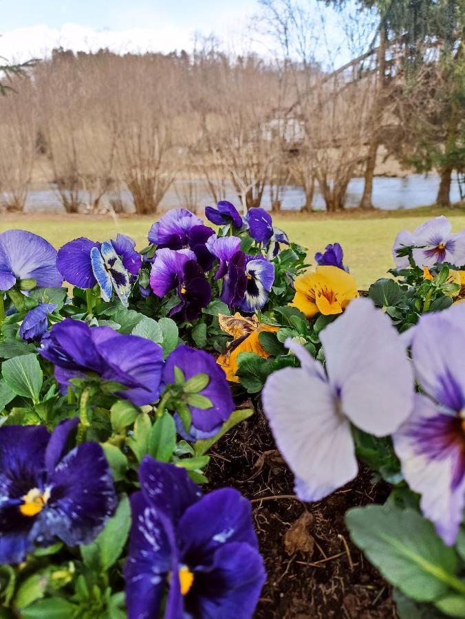 Agroturystyka Nad Bobrem Pilchowice Esterno foto