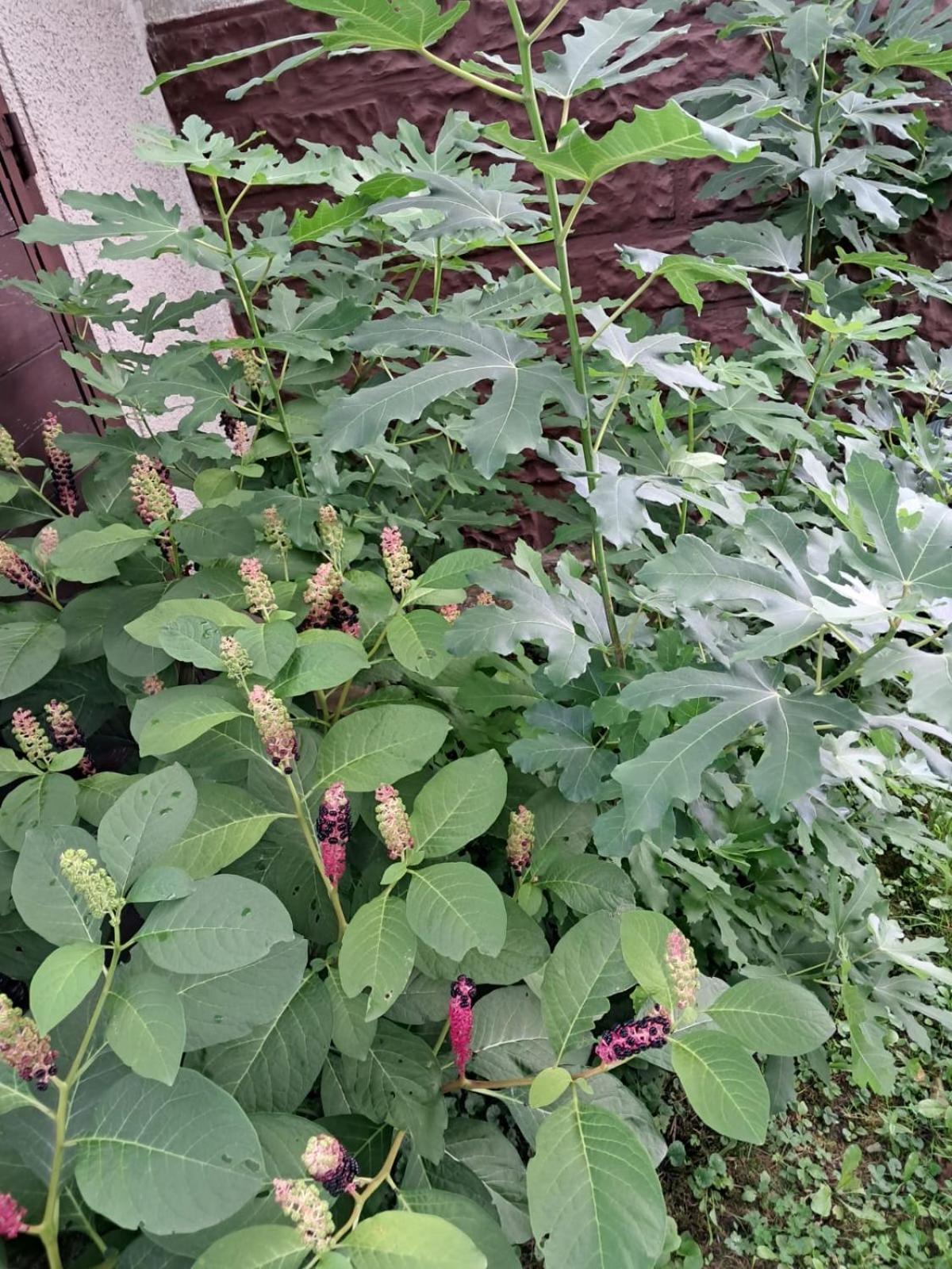 Agroturystyka Nad Bobrem Pilchowice Esterno foto